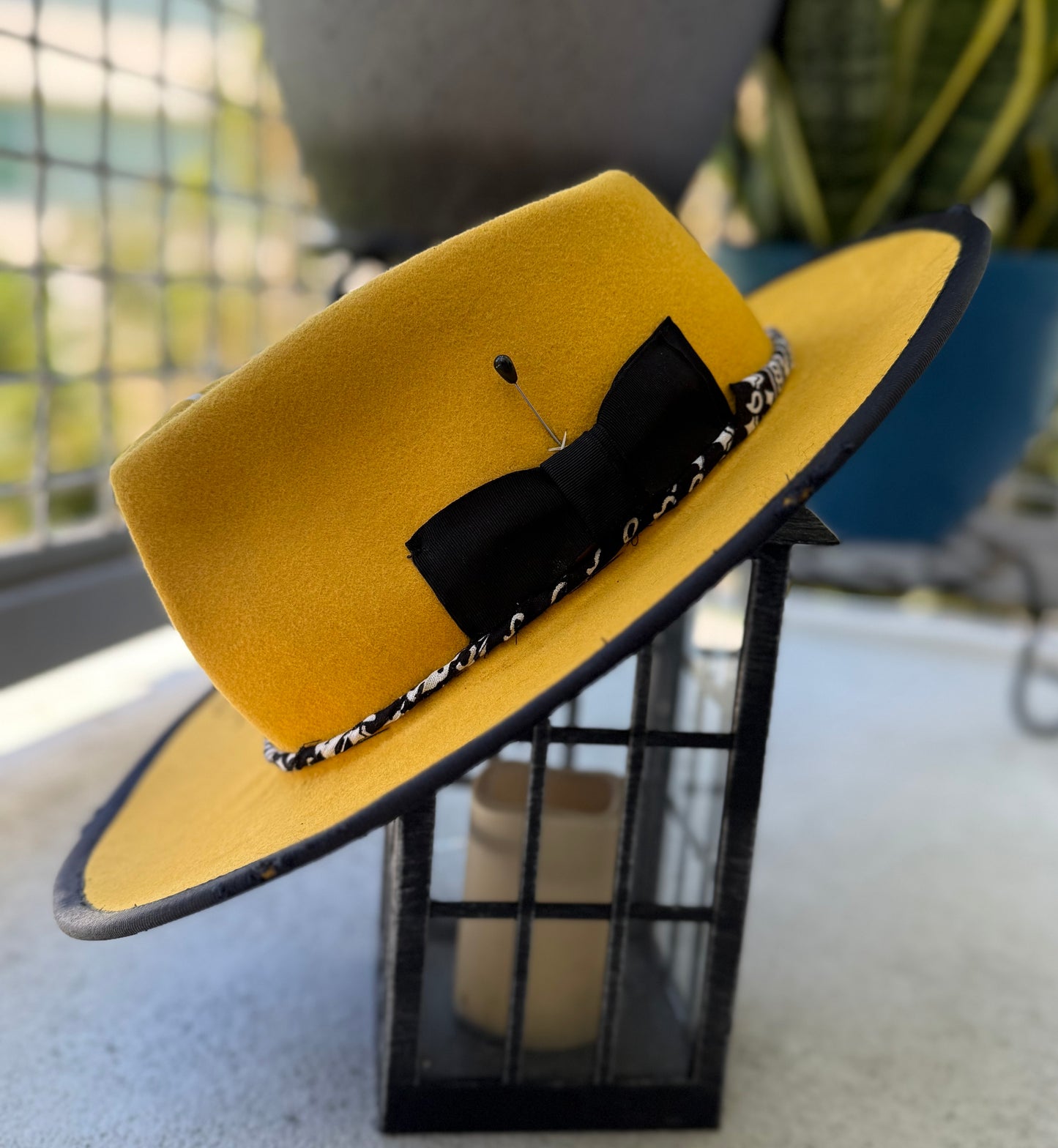 Solé